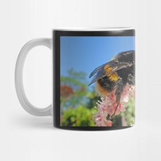 Bee - A Buzzing Thing Mug